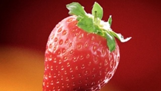Foodshot P1