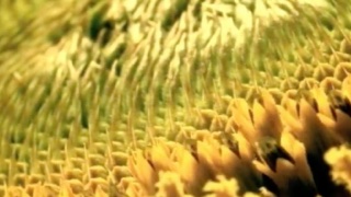 Potravka 6